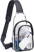 BR1001S BR1001S CLEAR SLING BAG SMALL