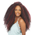 Janet Collection Braids Noir 10X Afro Twist Braid (Marley Style)