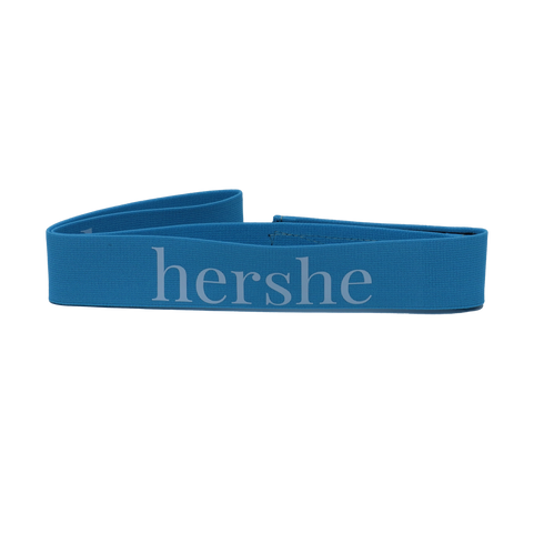 HERSHE WIG BAND