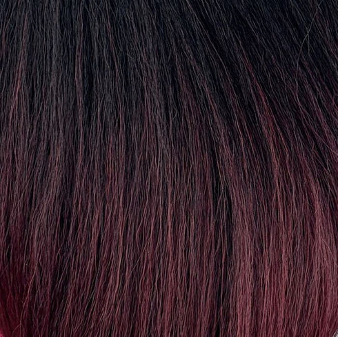Model Model Freedom Part Number 202 Synthetic Hair Lace Front Wig