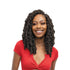 Janet Collection Nala Tress Butterfly Locs Crochet Braids